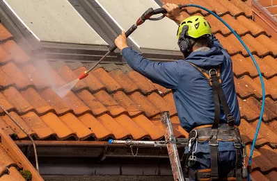 Démoussage et hydrofuge de toiture à Sainte-Radegonde